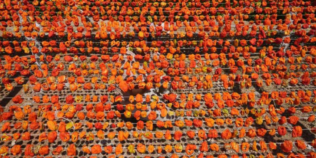 Sezon açıldı eşsiz görüntüler ortaya çıktı! Gaziantep’te lezzetin görsel şöleni: Dron ile görüntülendi… 2